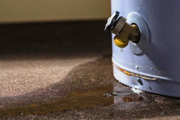 Best Water damage cleanup near me  in Hampton, MD