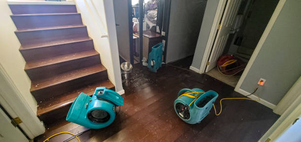 Best Emergency water damage restoration  in Hampton, MD