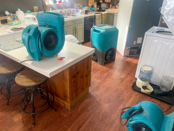 Best Water damage contractors near me  in Hampton, MD