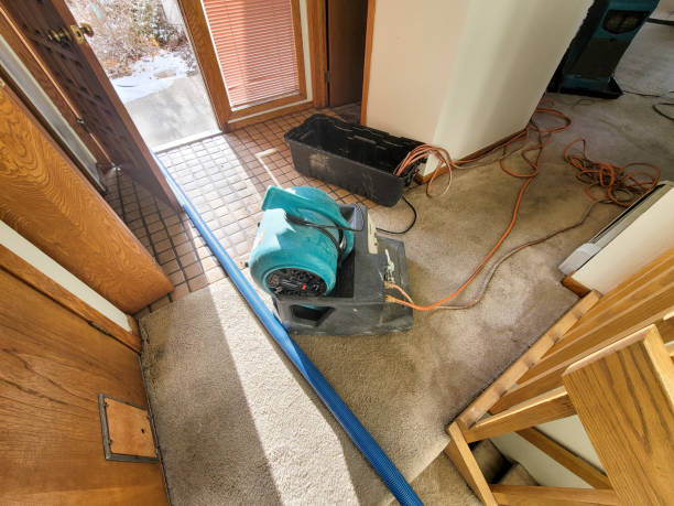 Best Water damage restoration near me  in Hampton, MD