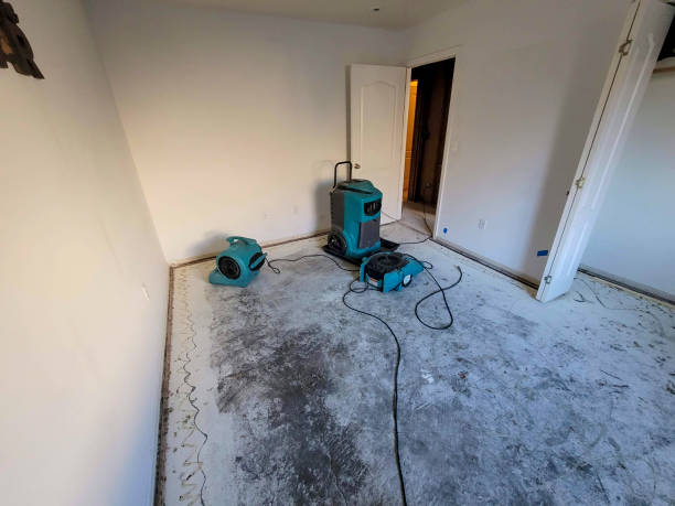 Best Emergency water damage restoration  in Hampton, MD