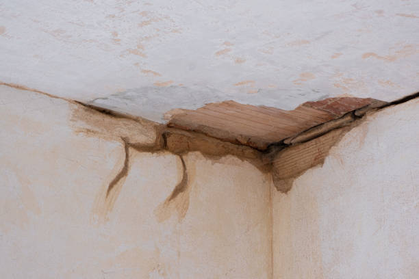 Best Mold removal after water damage  in Hampton, MD