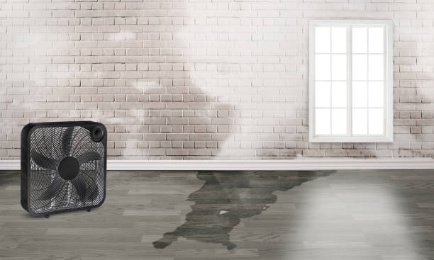 Best Sewage cleanup and water damage restoration  in Hampton, MD