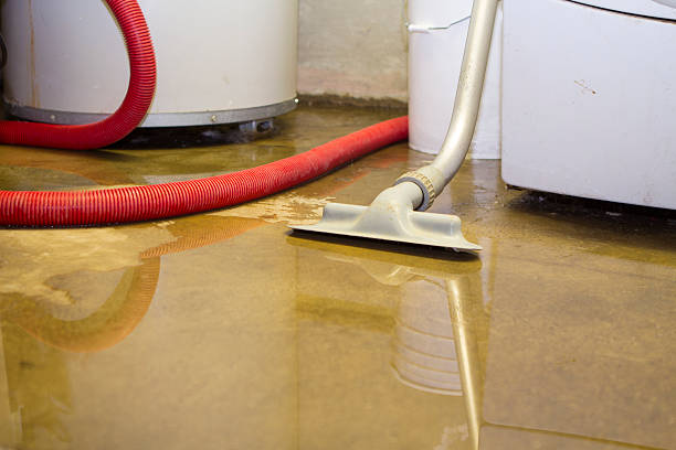 Best Emergency water extraction  in Hampton, MD