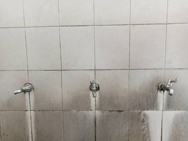 Best Water damage restoration insurance claims  in Hampton, MD