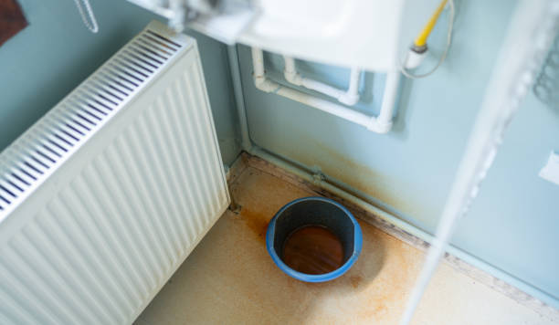 Best Water damage restoration specialists  in Hampton, MD