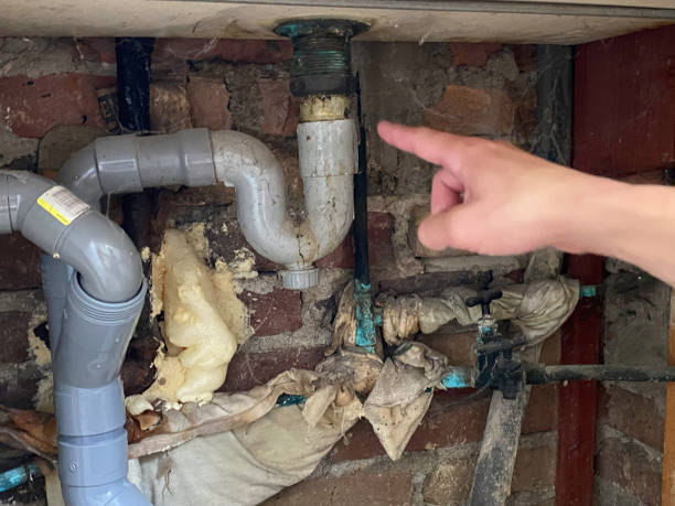 Best Water damage restoration near me  in Hampton, MD