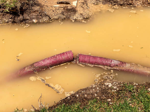 Carpet water damage restoration in Hampton, MD