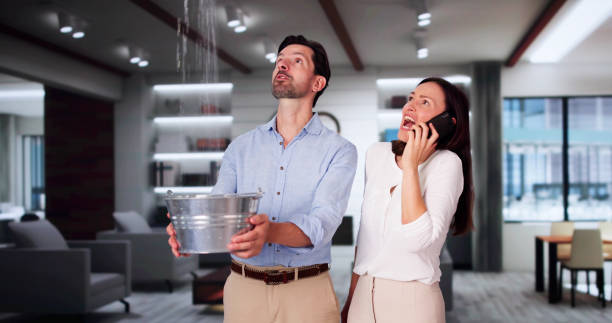 Best Sewage cleanup and water damage restoration  in Hampton, MD