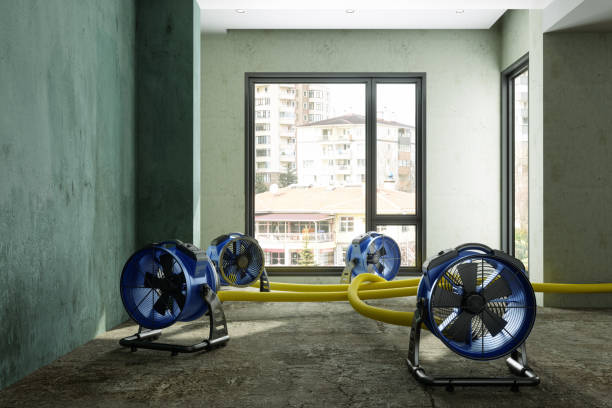 Best Professional water damage repair  in Hampton, MD